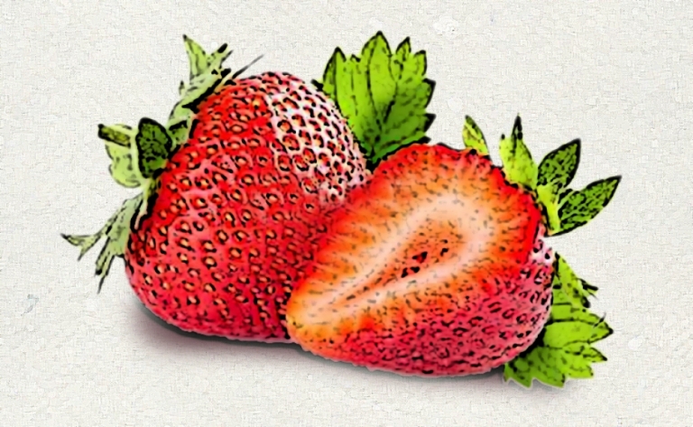 http://www.singer-obsthof.at/data/image/thumpnail/image.php?image=245/singer_obsthof_at_erdbeeren_article_4606_0.jpg&width=768