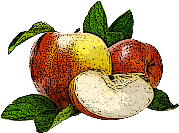 apfel